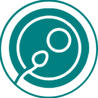 Successful IVF's +